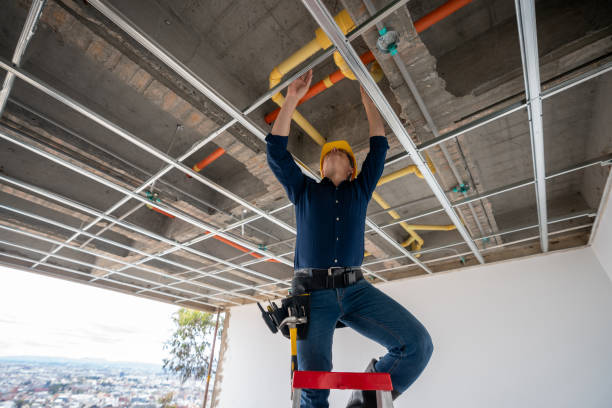 Best Affordable Plumber Near Me  in Toledo, IL