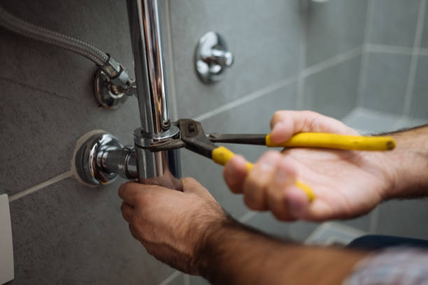 Best Plumbing Services Near Me  in Toledo, IL